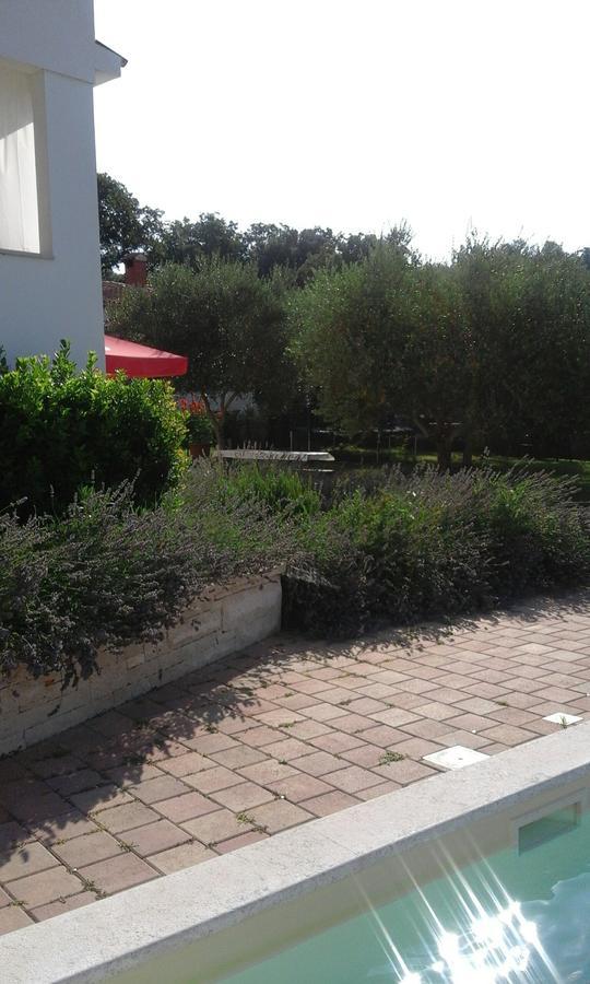 Jurman Apartment Barbariga Exterior foto